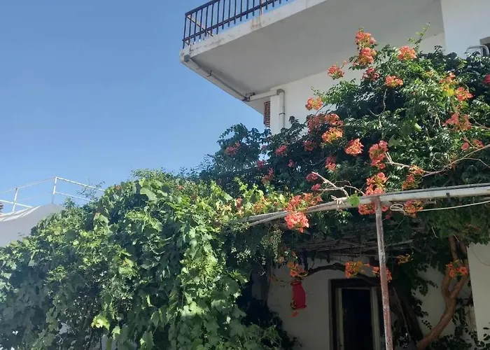 Ampelos Andros Appart hôtel Batsi